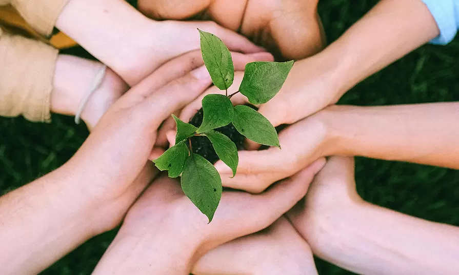 Social Responsibility