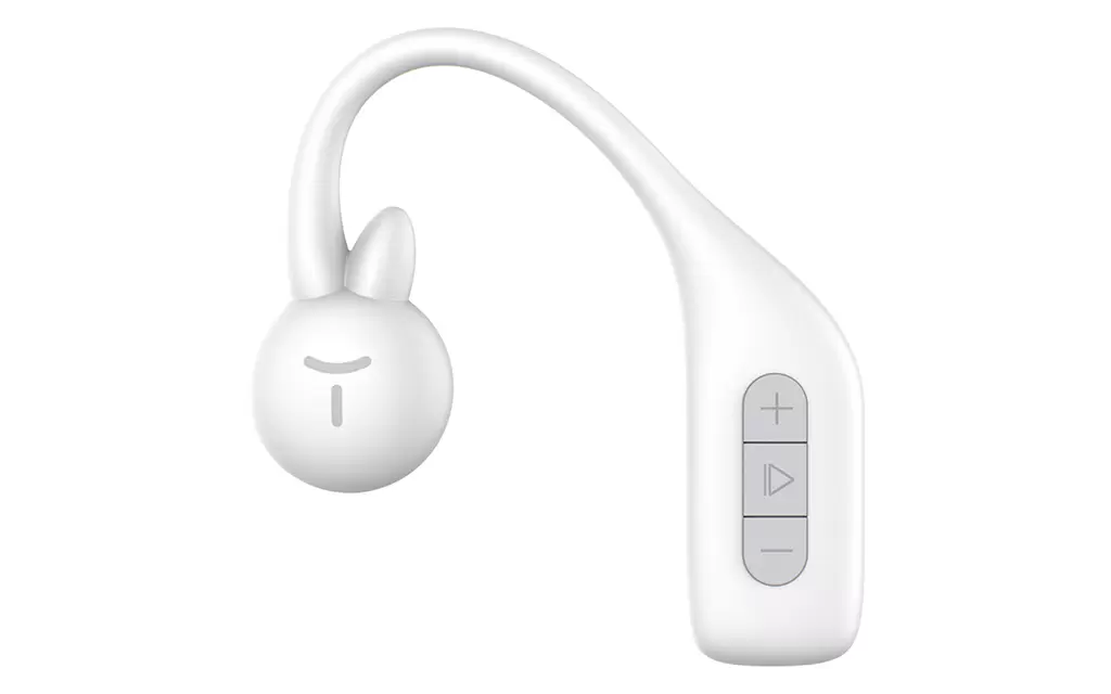 Shared Bluetooth Earphones