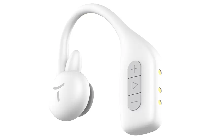 Shared Bluetooth Earphones