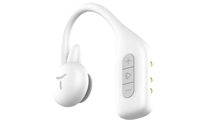 Shared Bluetooth Earphones