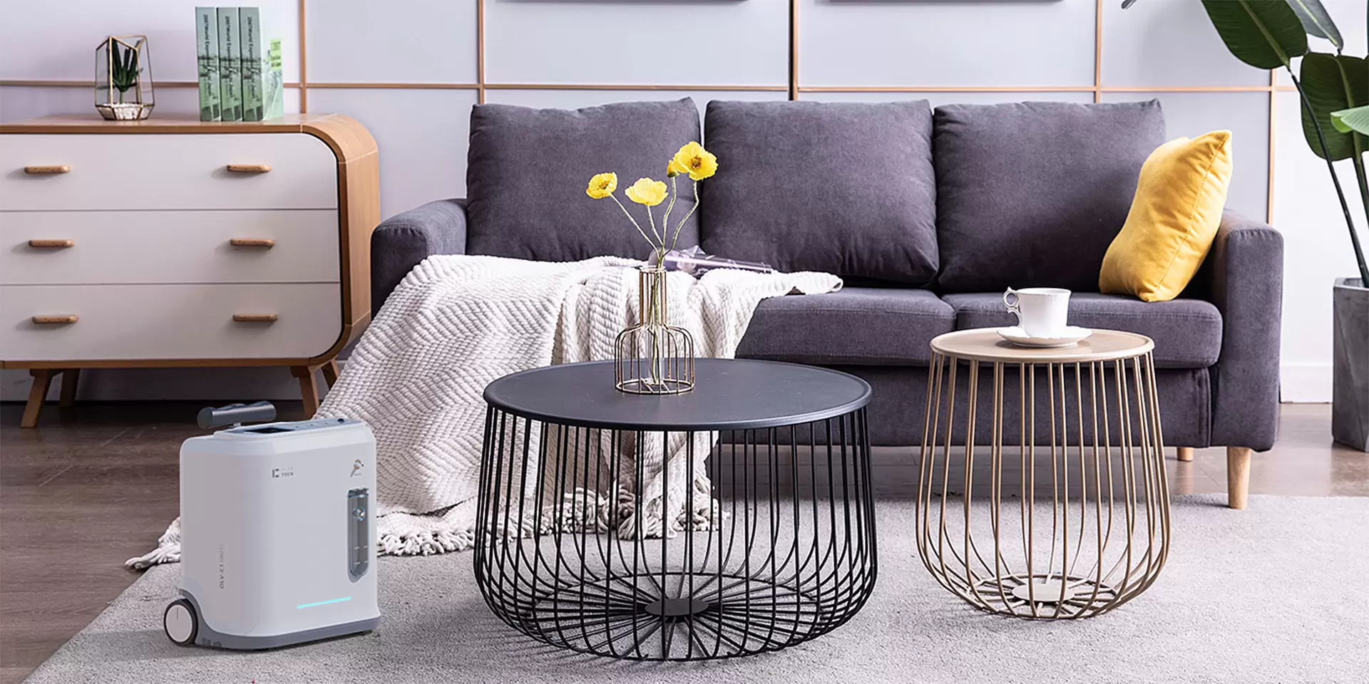 Portable Household Oxygen Concentrator