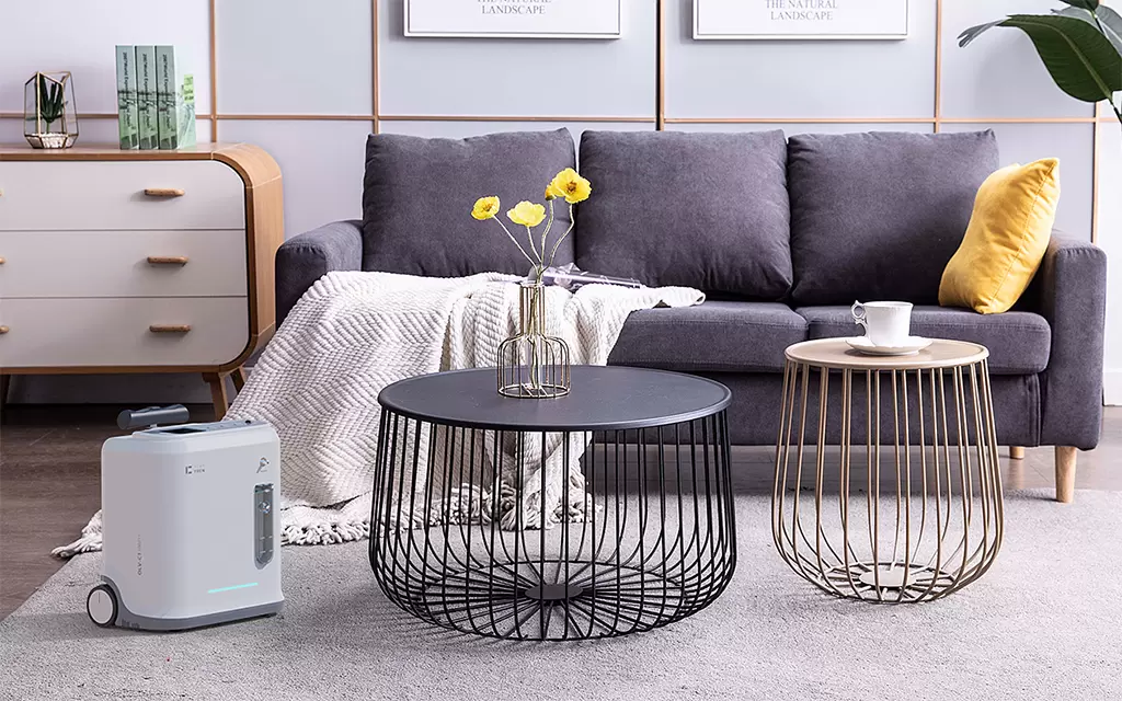 Portable Household Oxygen Concentrator