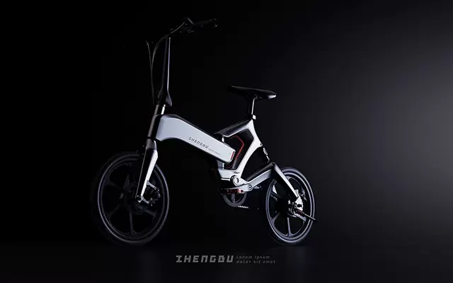 Folding Bike